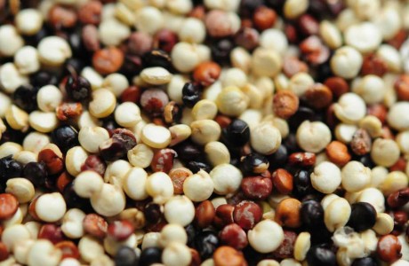 אף על פי כן, נוע קינואה